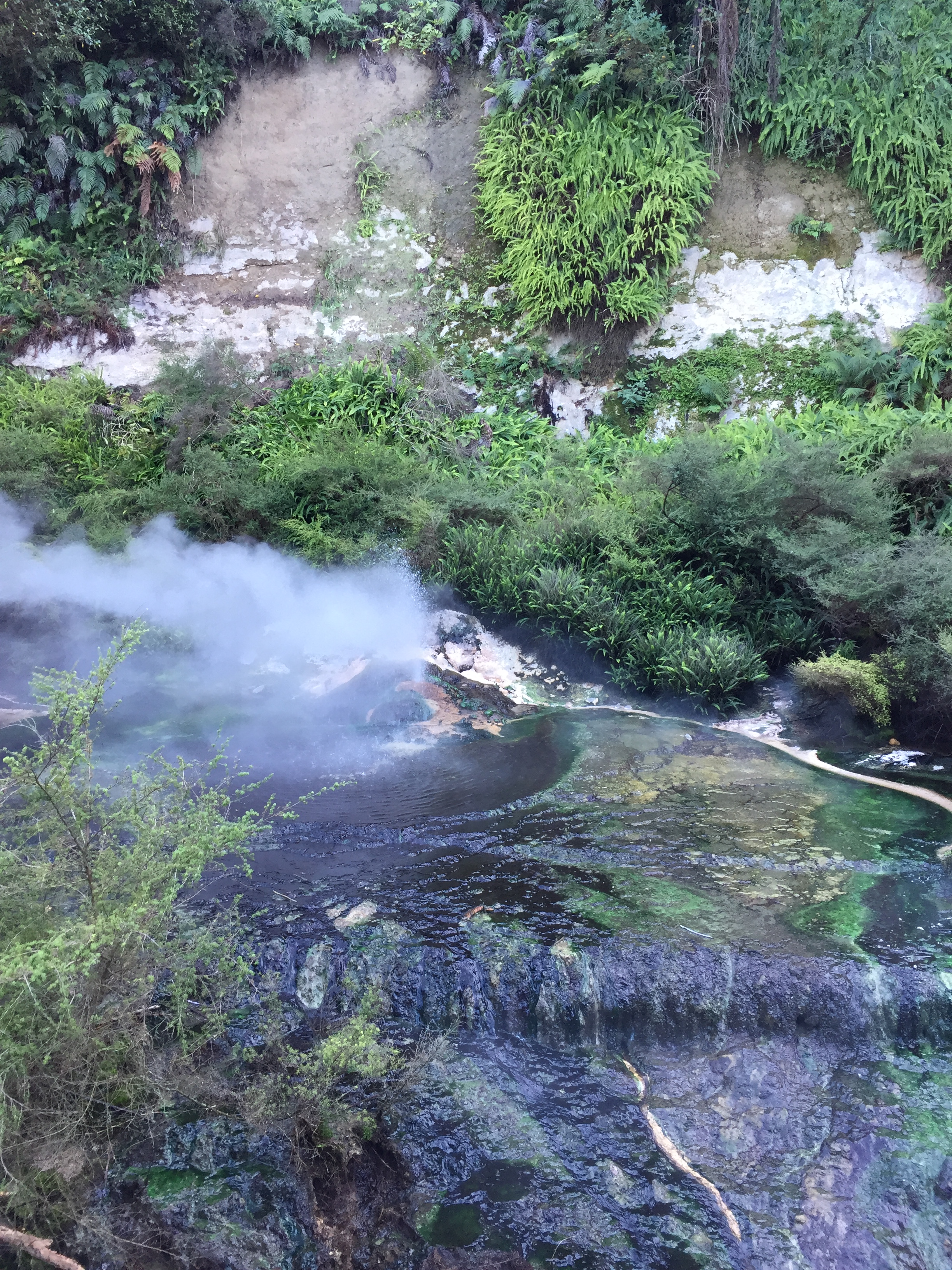 027787F5-D4FF-438F-8BE4-BA273ACD1A9C