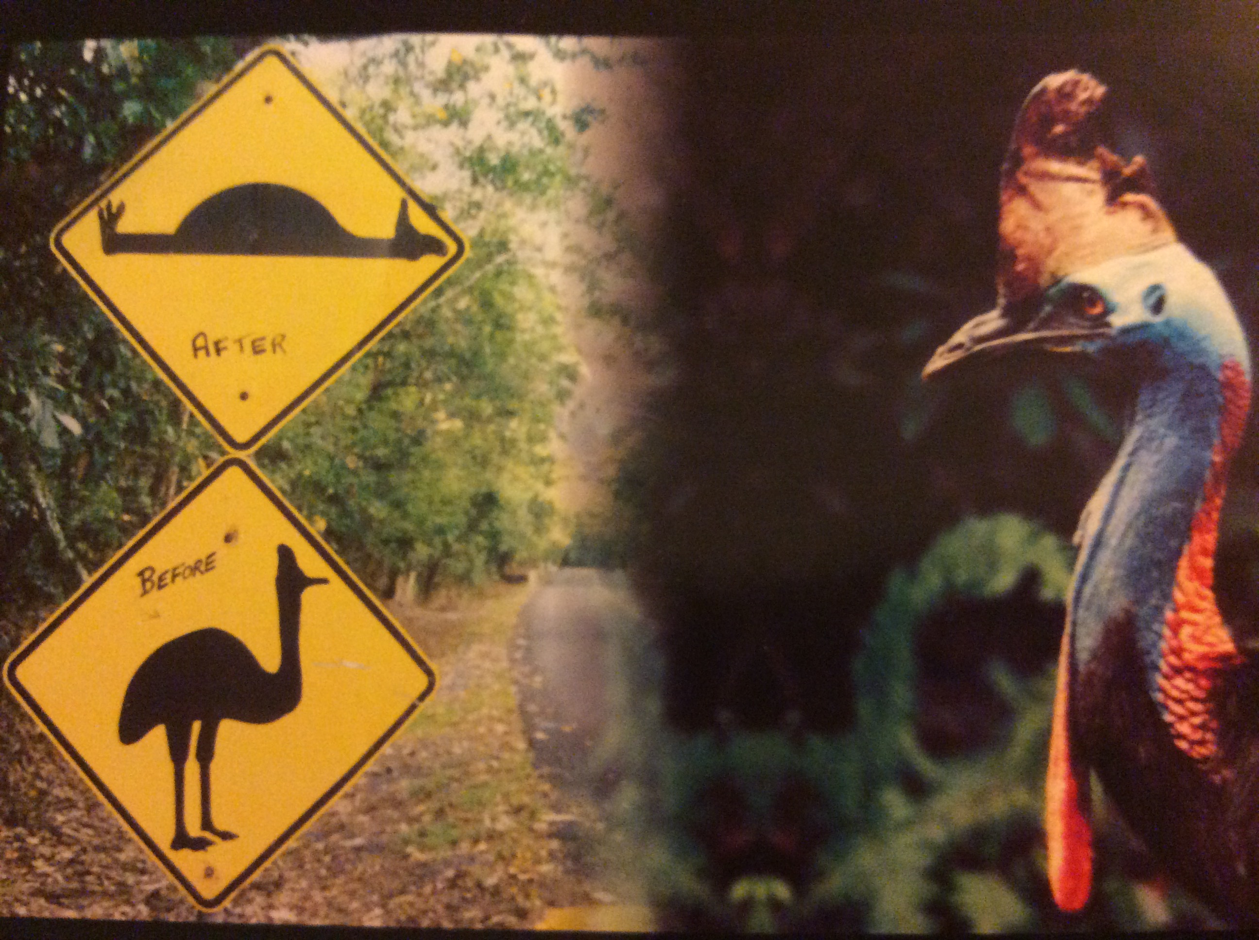 0A305350-BA59-4834-9886-1B1114A3E8A1