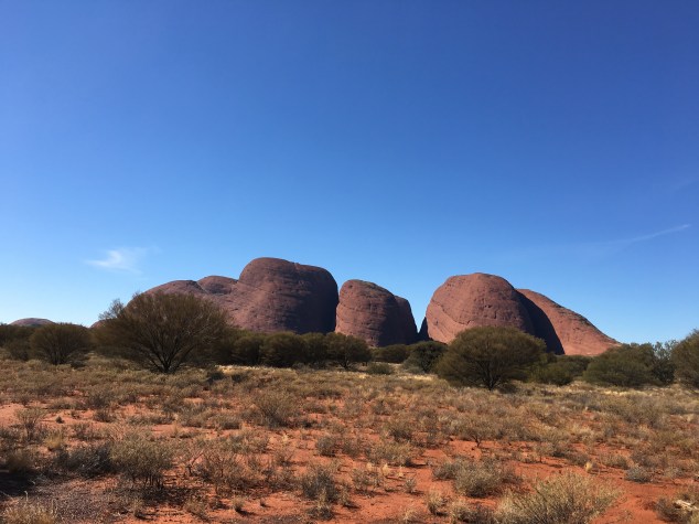 0AD3A019-BE4C-48BE-860A-8991AA186BB4