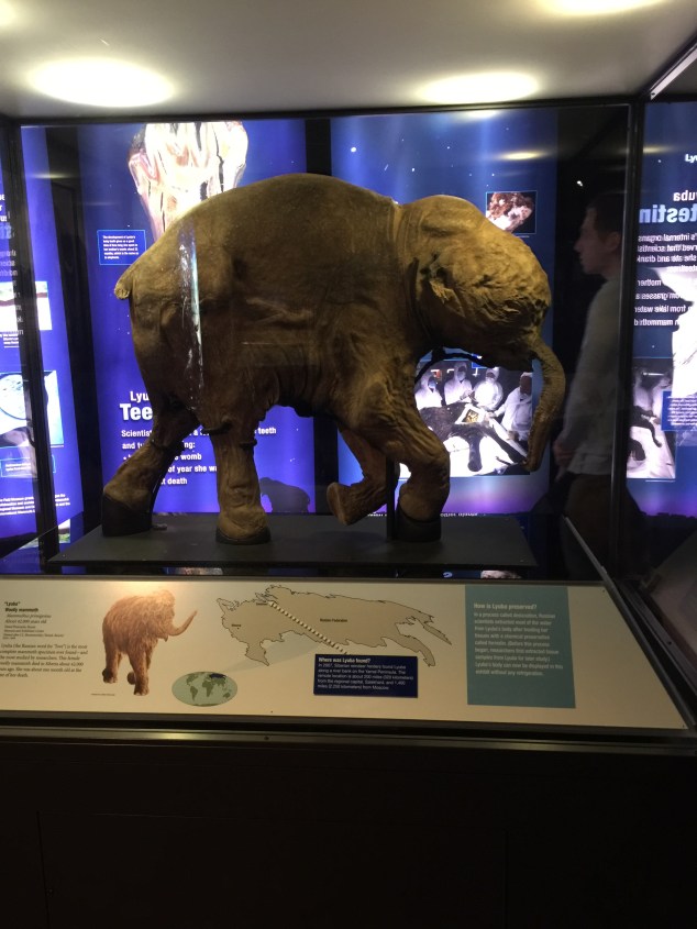 19ABA5F6-F377-46BB-A8A8-9F4CD2081649