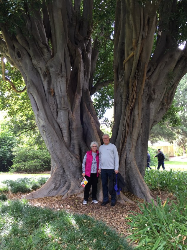 1DCD8366-30ED-4D29-8E91-3D0AE211A0F7