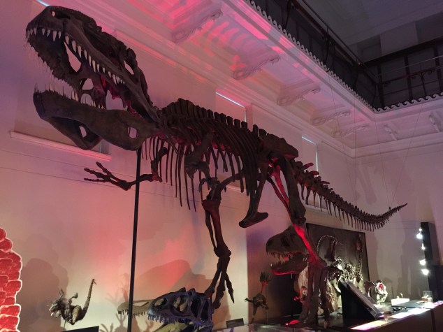 204238F4-3B19-474C-8E2B-FABEDE8CD30A