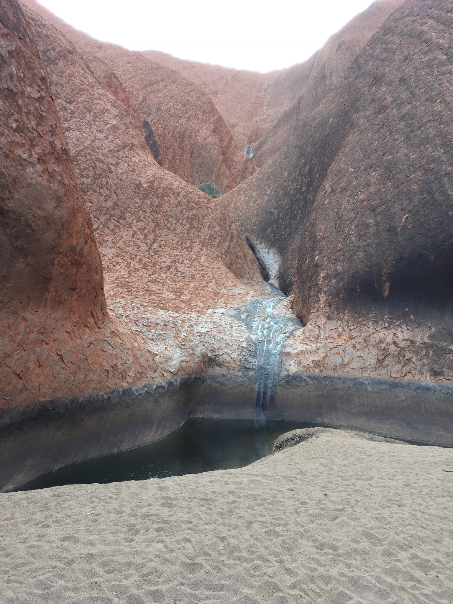 25106D65-CF2B-460B-9324-08E2E147A3DB