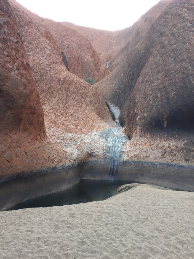 25106D65-CF2B-460B-9324-08E2E147A3DB