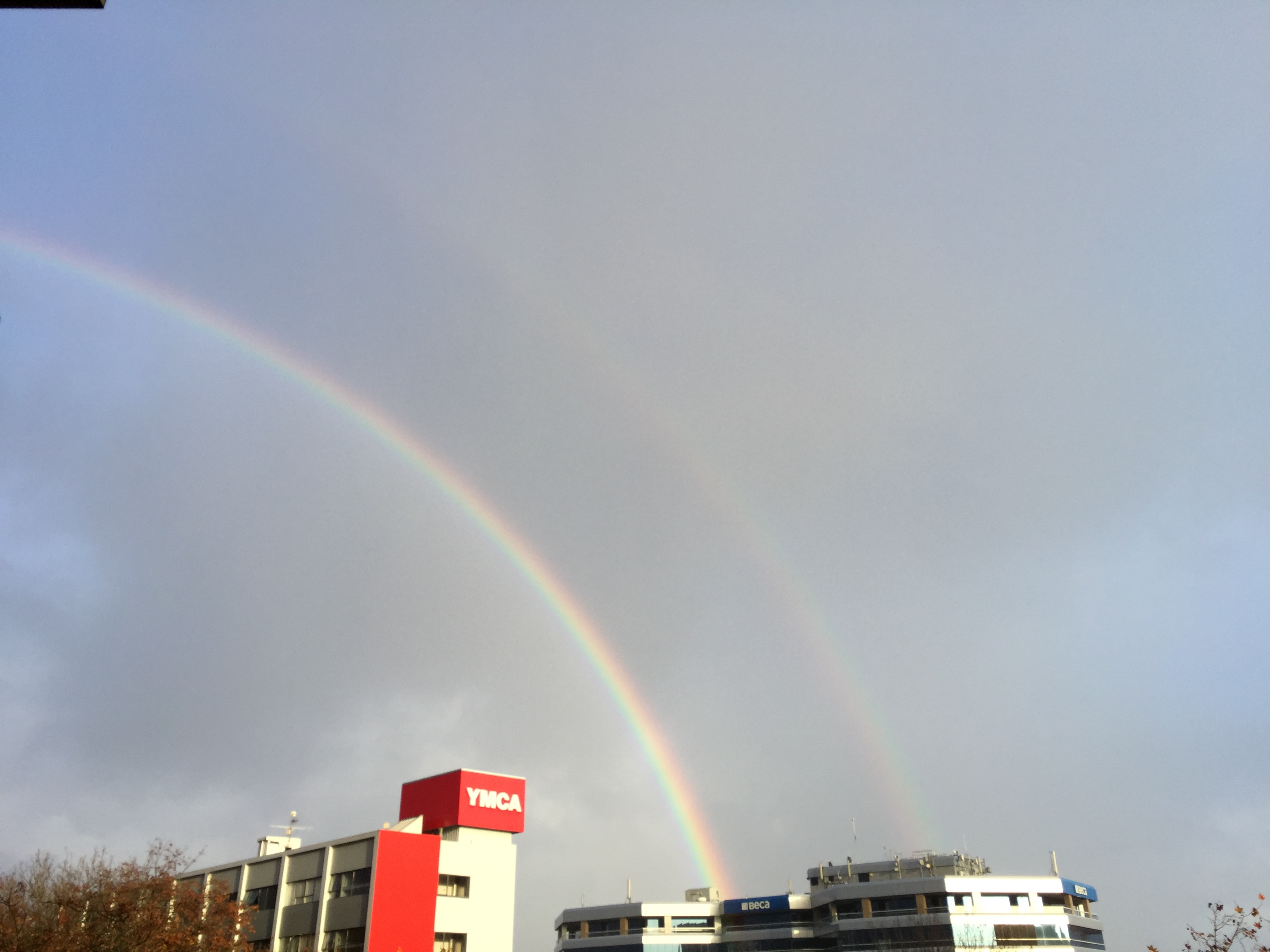 44E5A944-F200-494E-BADD-3198FFAE5B15