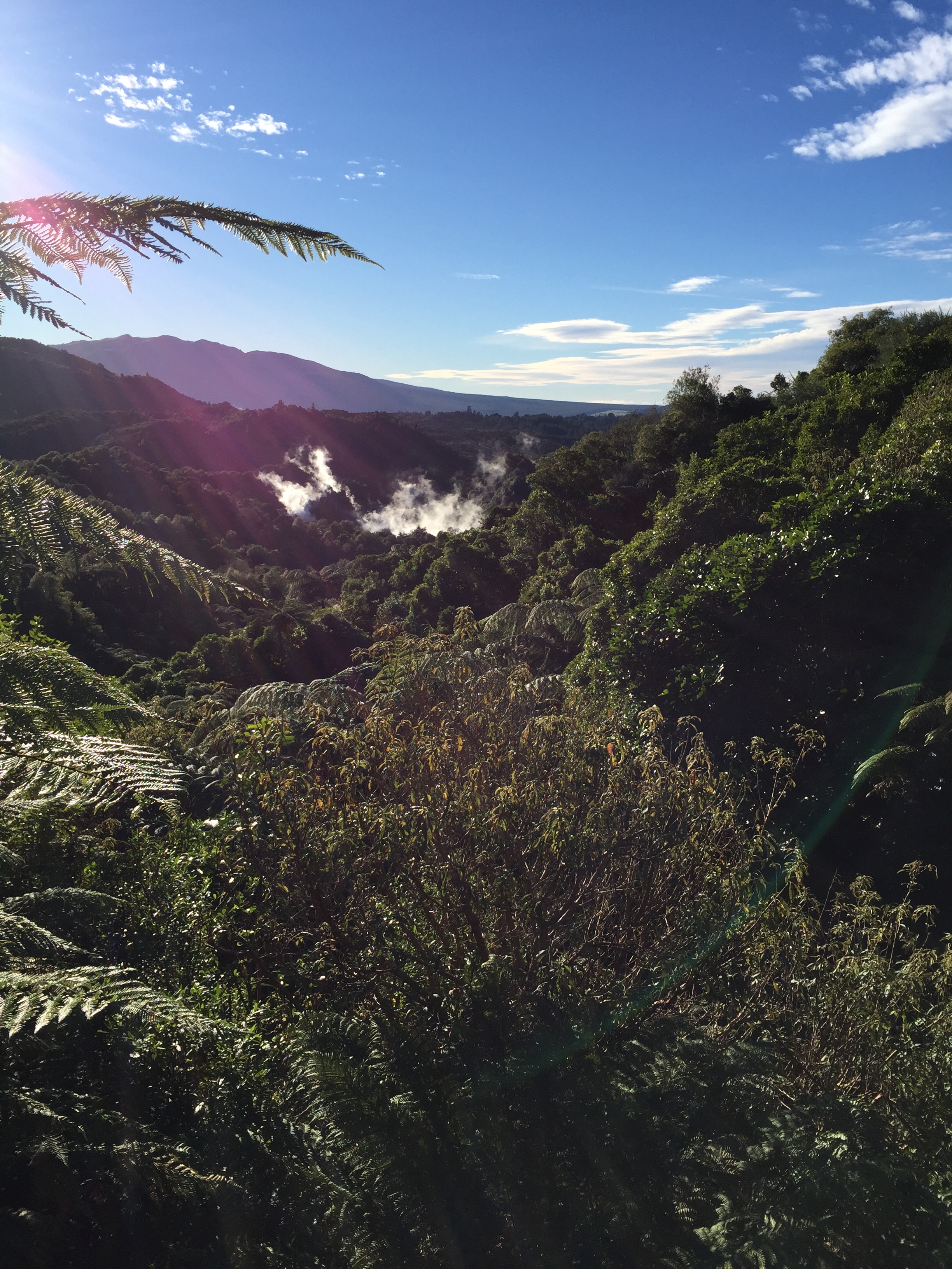 680FB736-0171-4CFD-90B5-909970C8AB76