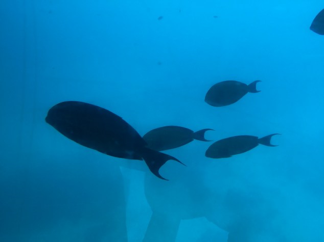 9C6B0912-EC5D-4D6C-ADBD-B8299653E9CB