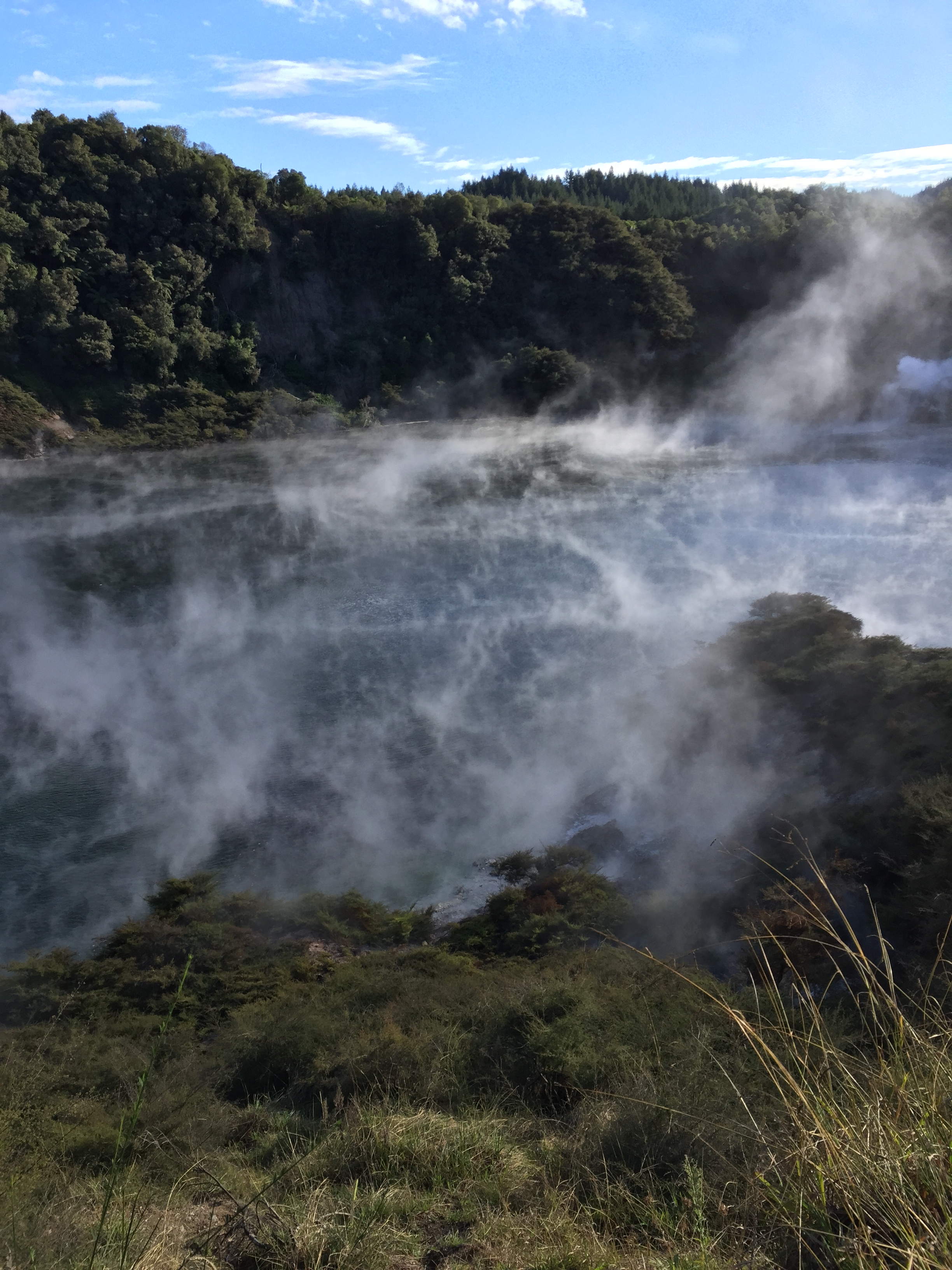 A191EB2D-4FA1-4FD1-A6A4-114E95587282