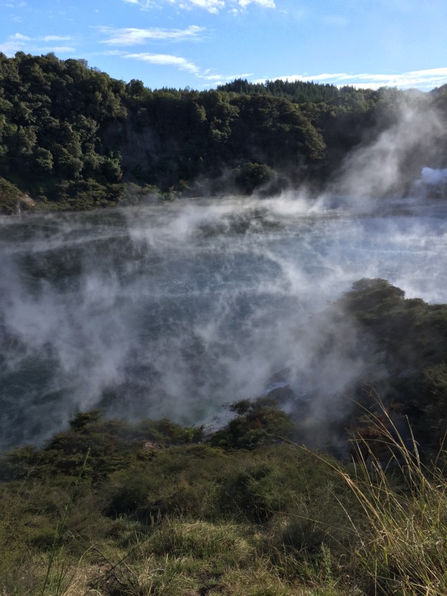 A191EB2D-4FA1-4FD1-A6A4-114E95587282