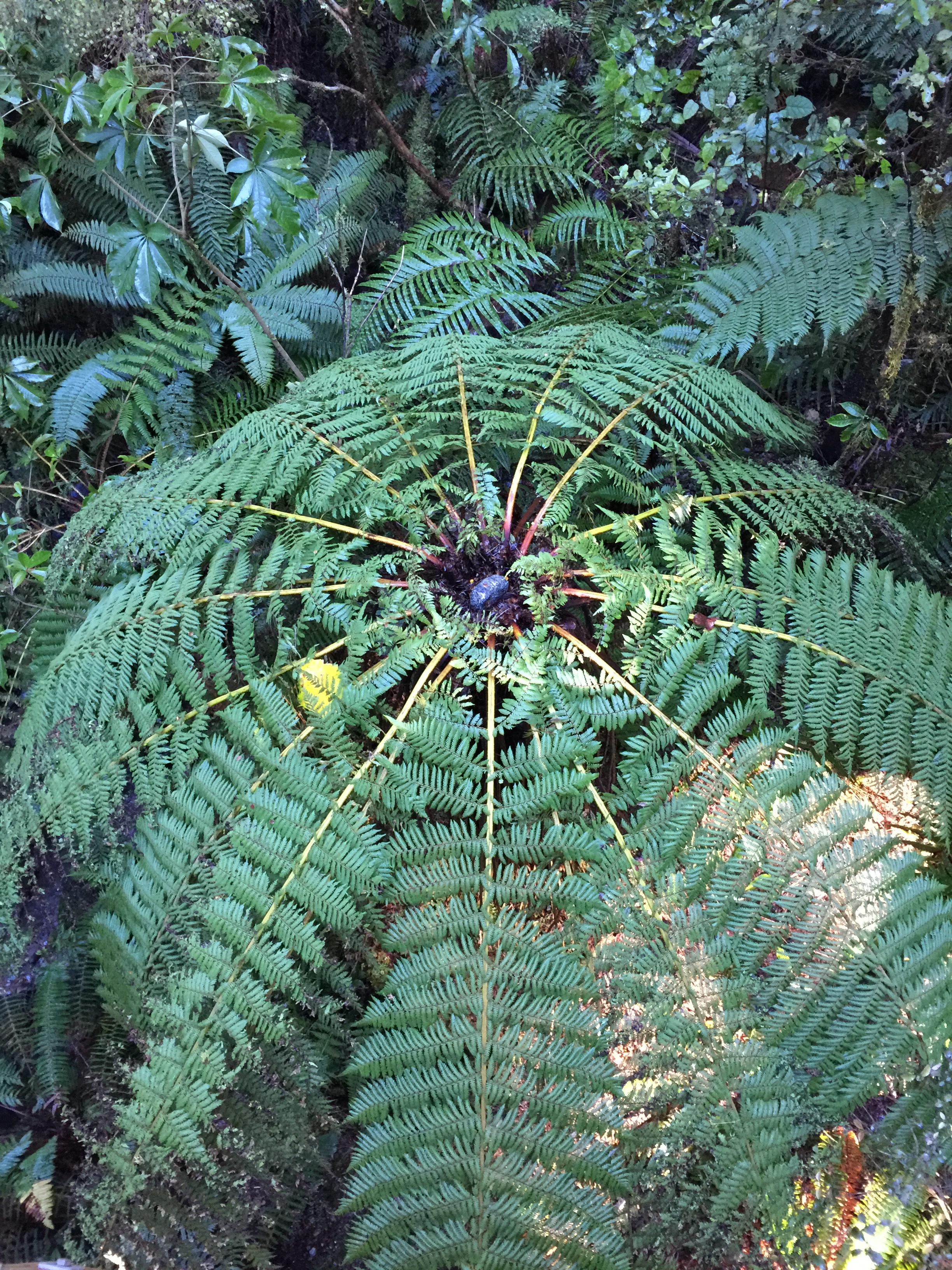 A99B3376-22E9-40BA-BEF9-3F20B018763C