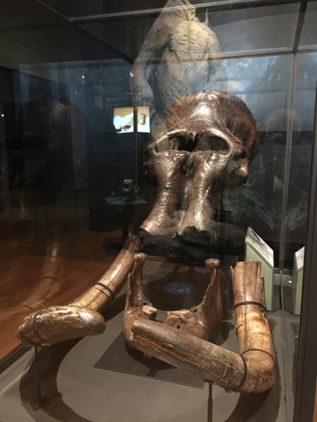 AE39D8B3-FFAA-4ADC-B68B-D8BC63847F65