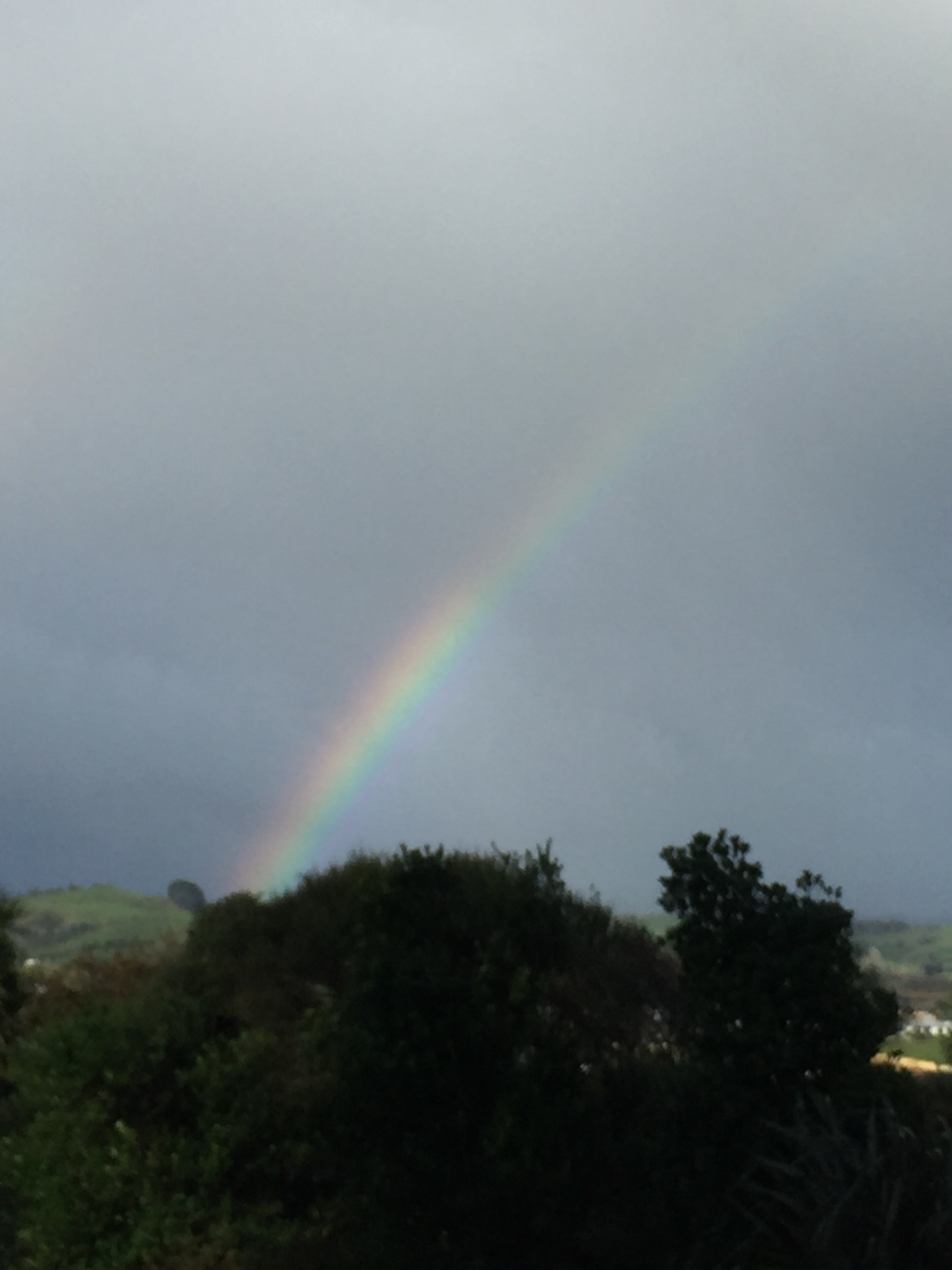 CA3F8A3A-625B-4A18-9D78-92EFCA10F940