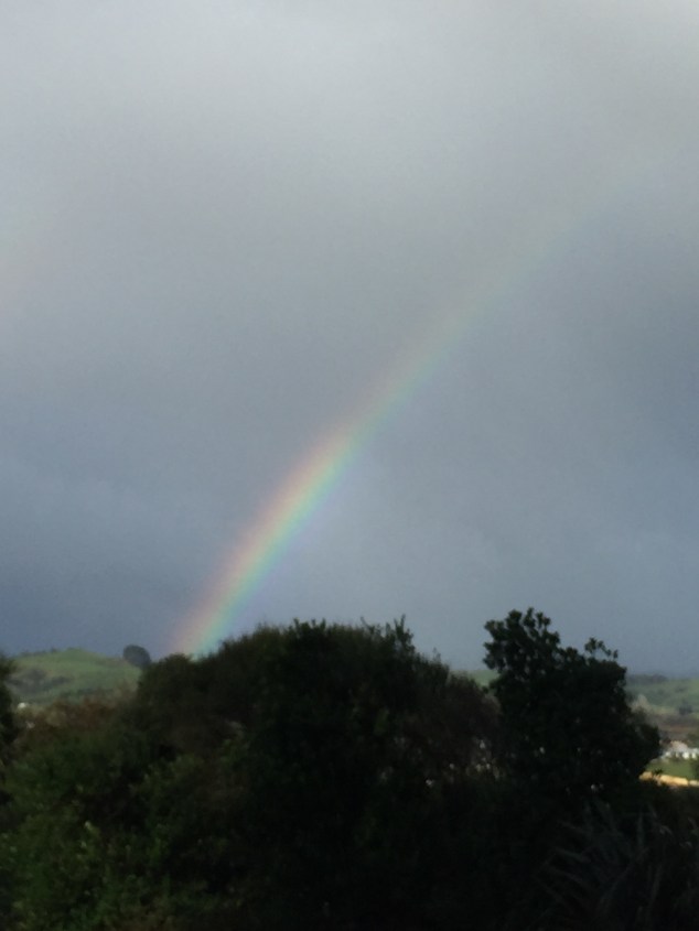 CA3F8A3A-625B-4A18-9D78-92EFCA10F940