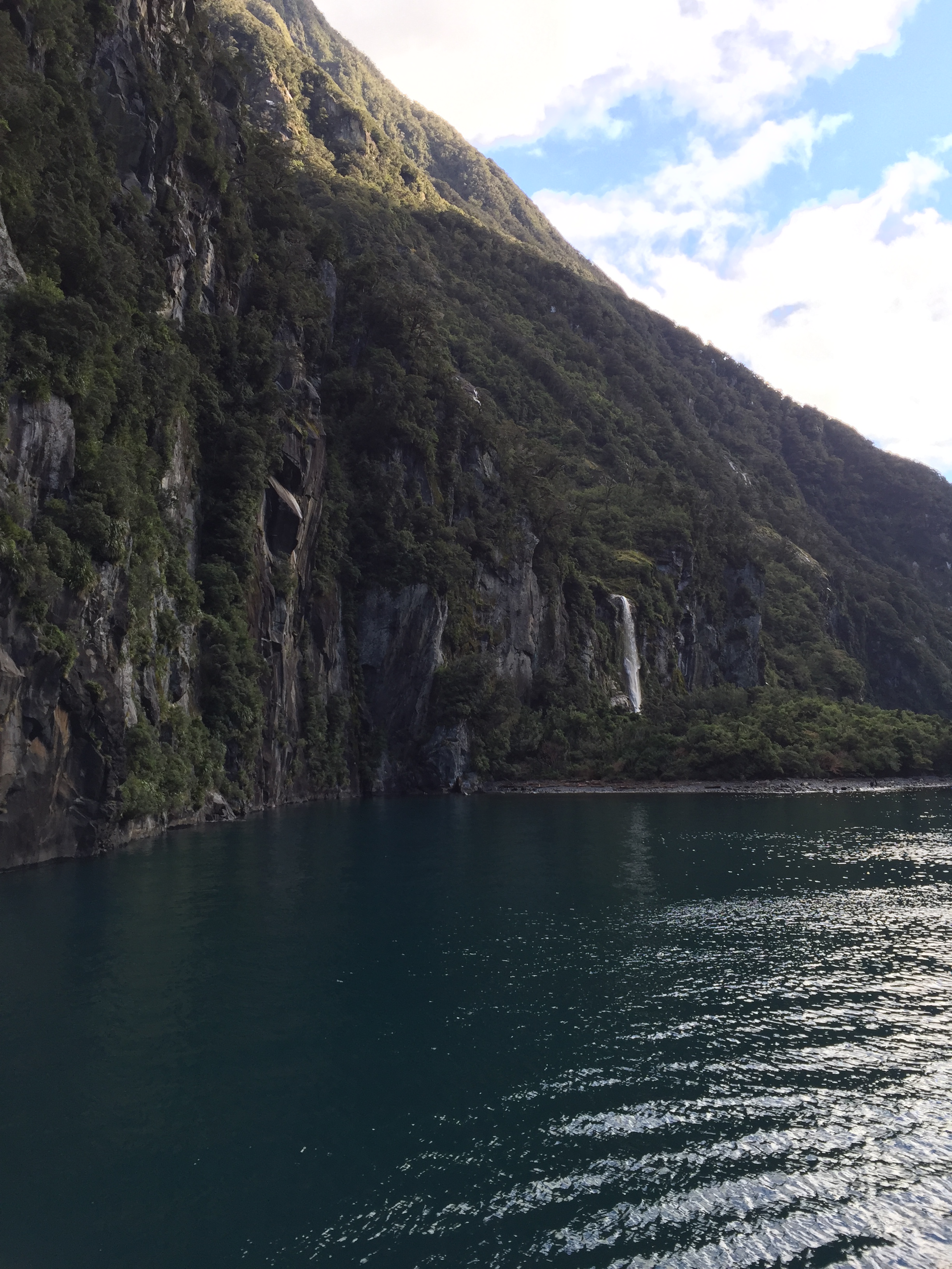 CC3925CC-09C8-45A7-B557-FD17DBA14D19