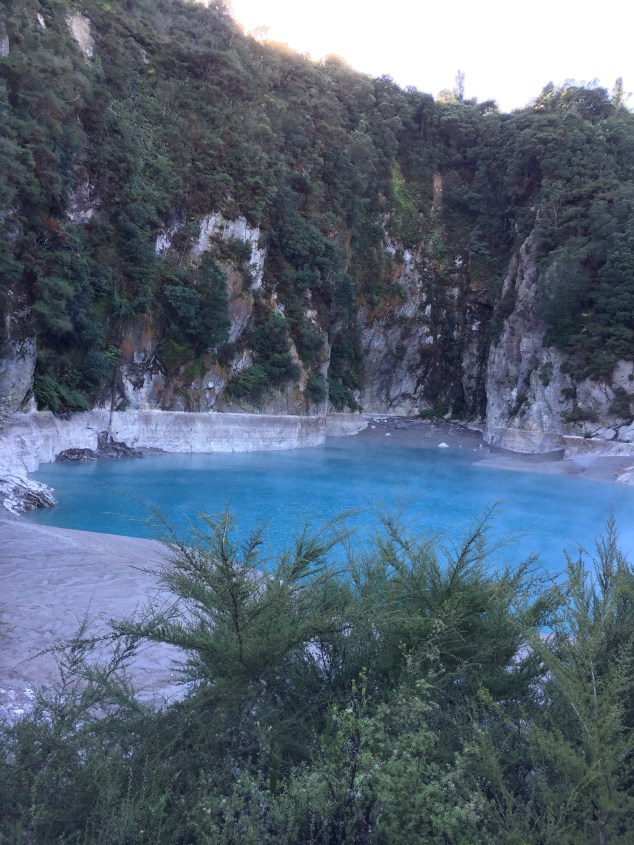 CDDF6CD8-5D68-437A-AFC7-276AC6CDDBE9