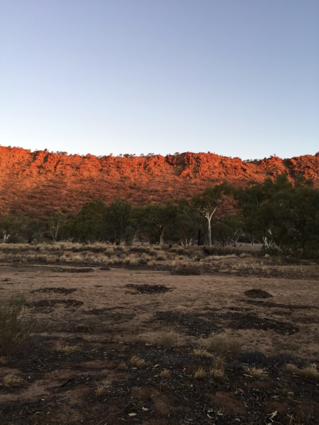 DA0736EE-B616-4F51-8CAC-EB8E1A0D0CC4