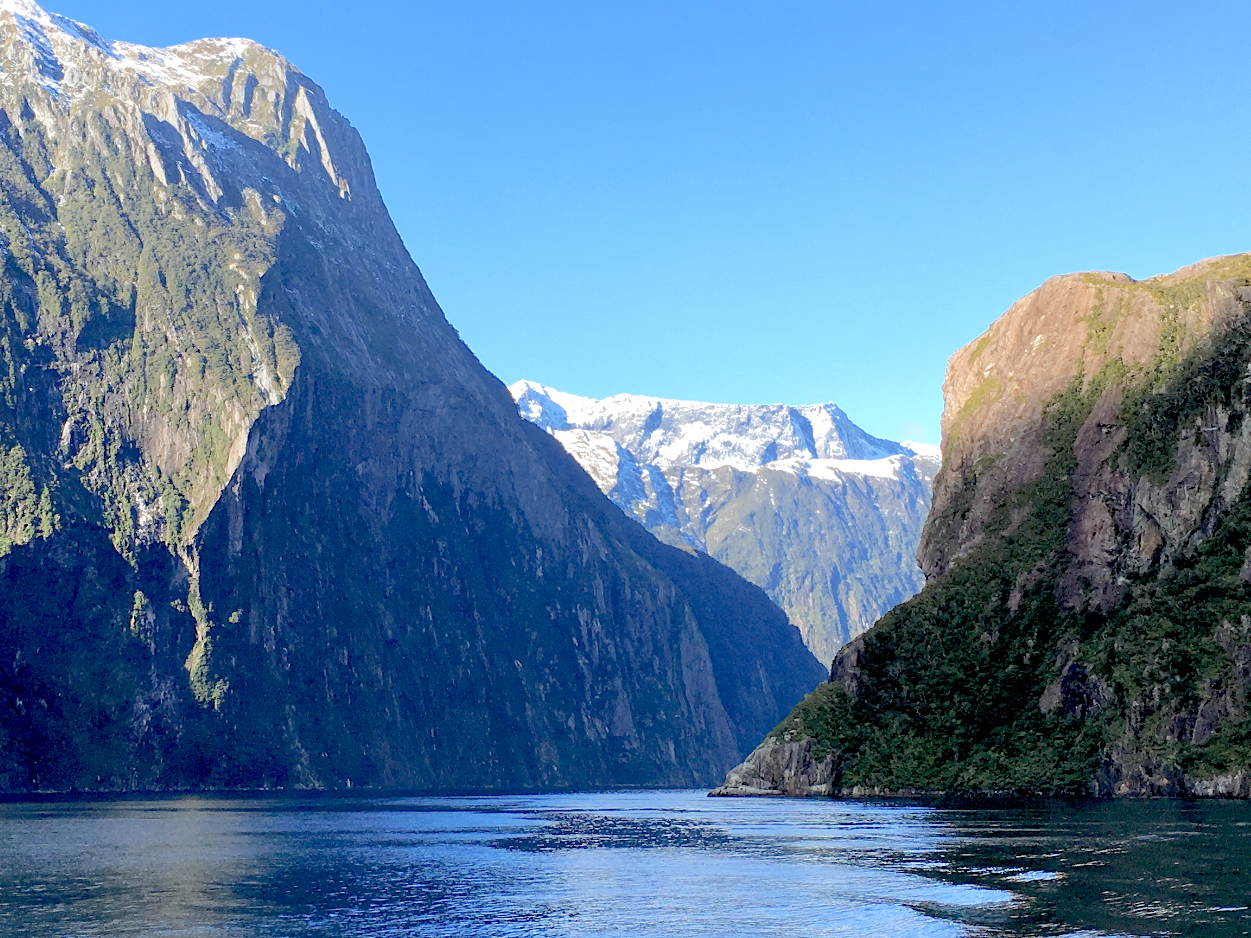 DE520068-1AF0-4911-B5E5-99B421C8363D