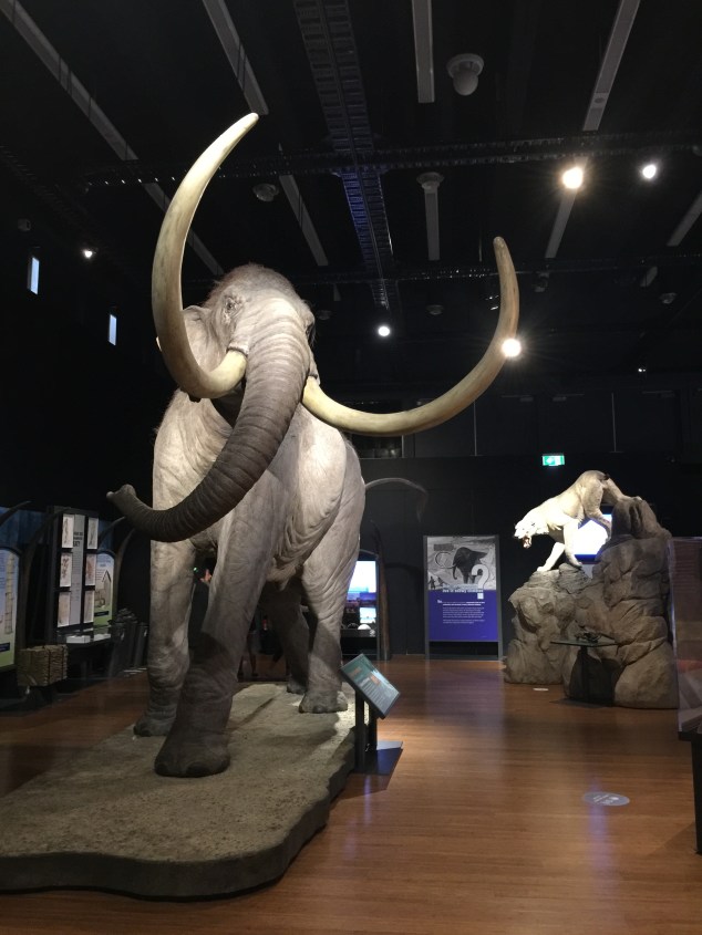 E19FA864-229F-46E5-BA46-84F3494E32E3