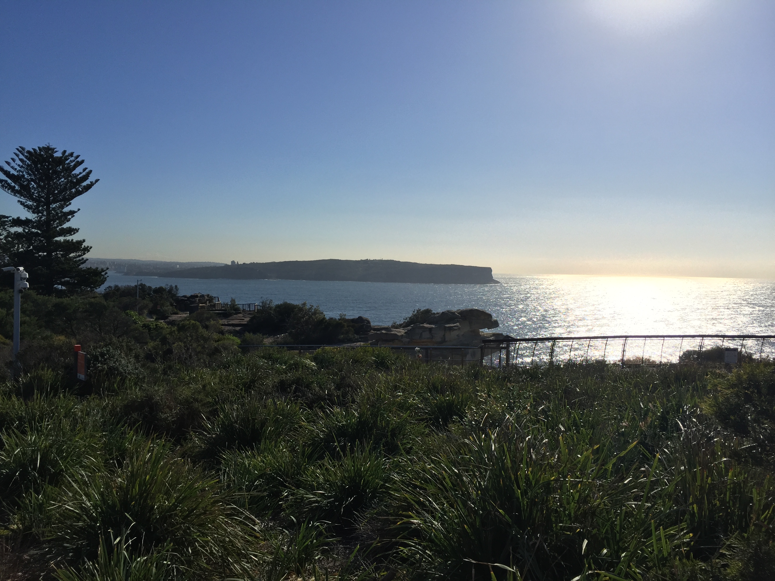 E5870483-E6EF-416E-A4A6-B837E7B2E48E