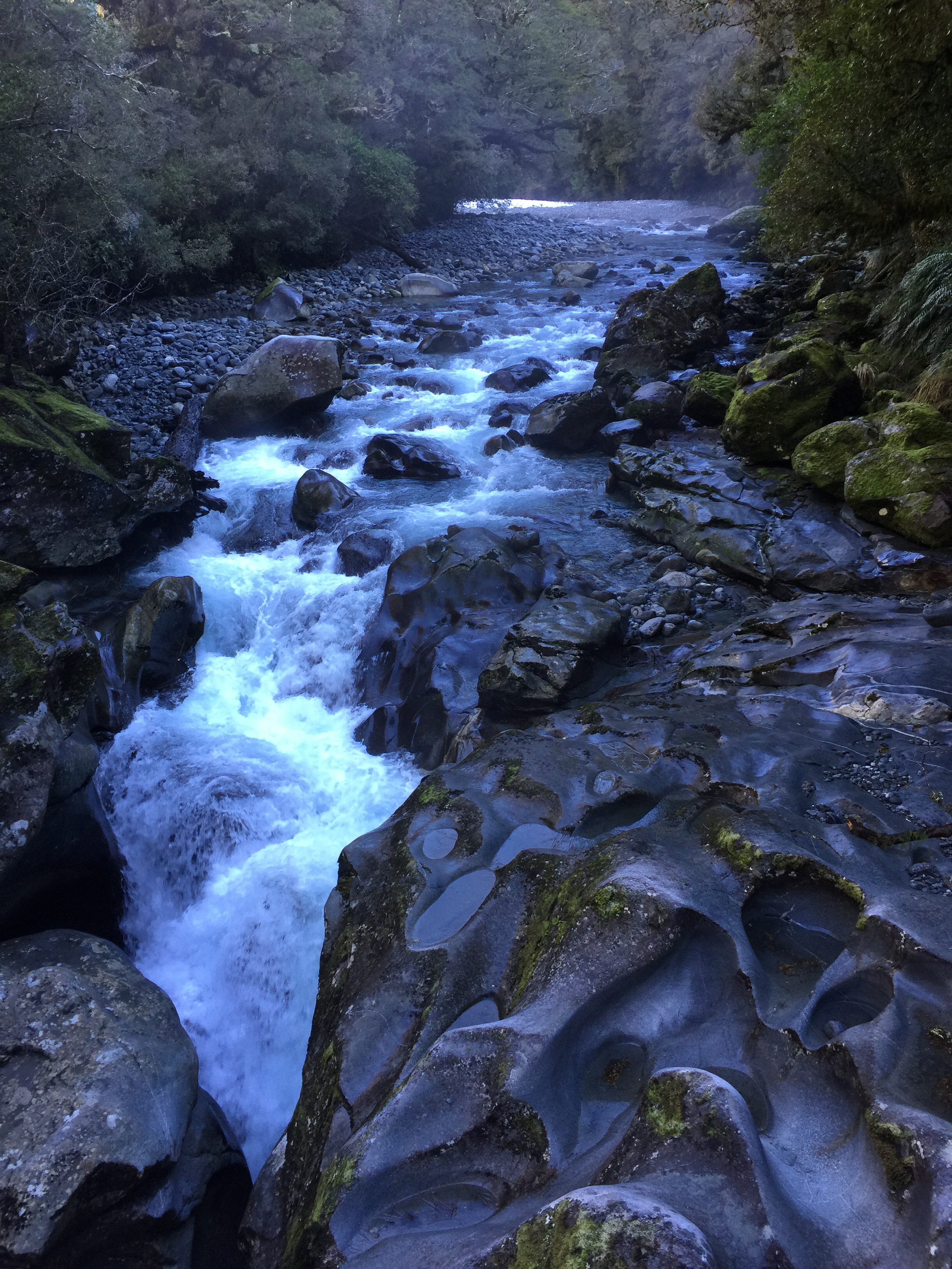 E5A404D6-8887-47F8-B768-E36BA6E01F45