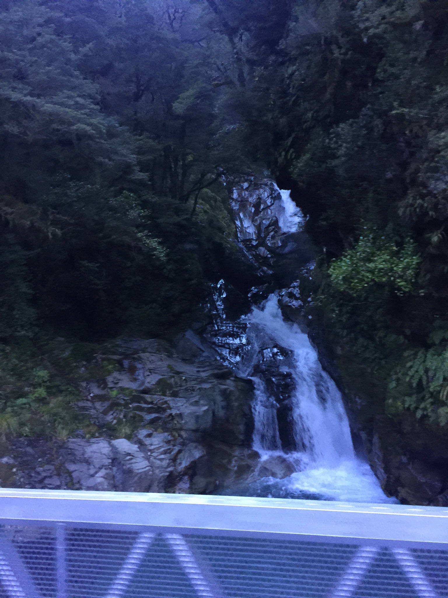 F58BBA78-9D88-44C3-B795-5F33B9DEEB62