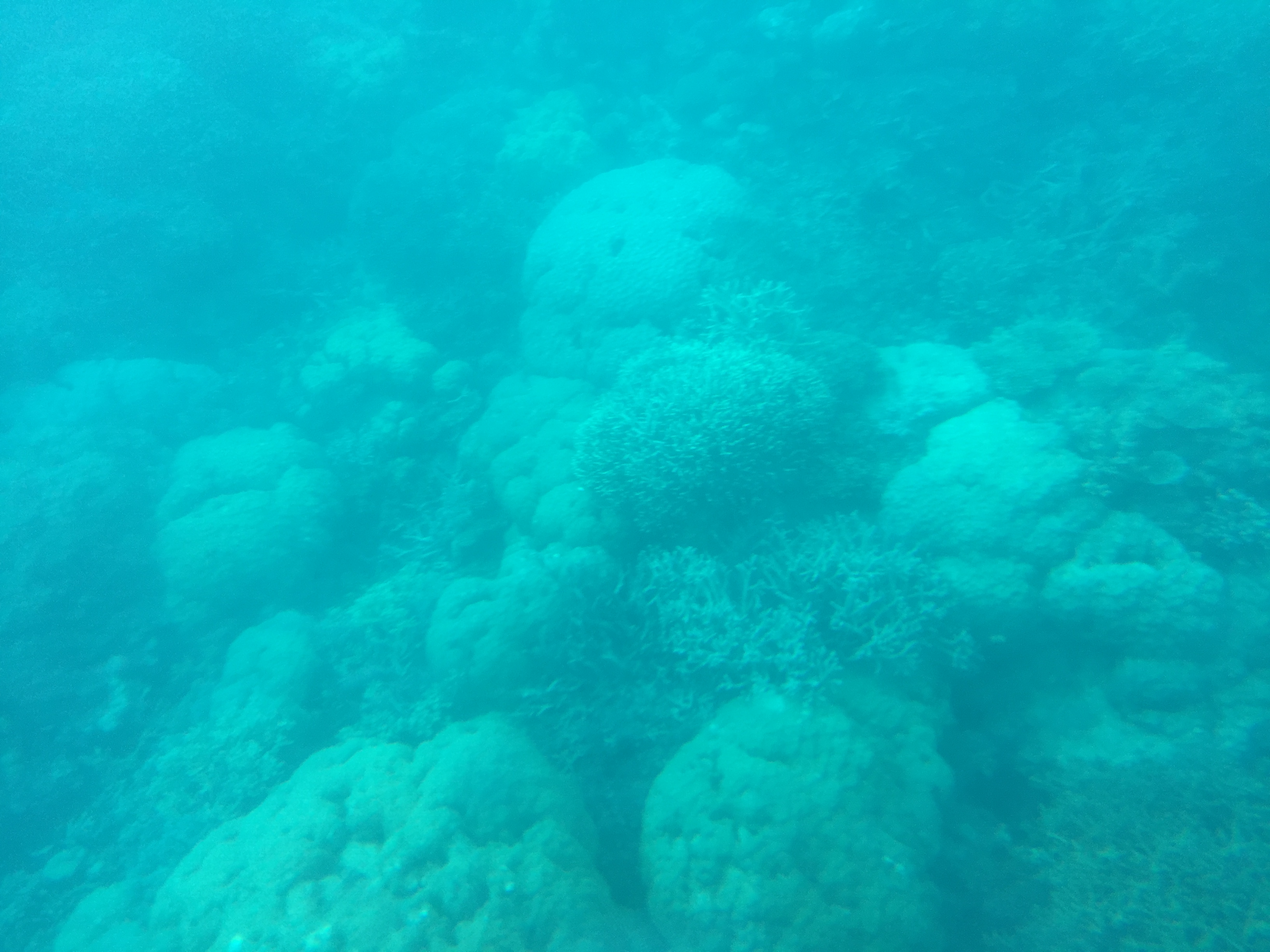 F7493041-B44B-4F0A-8A66-7F86490CFDA3