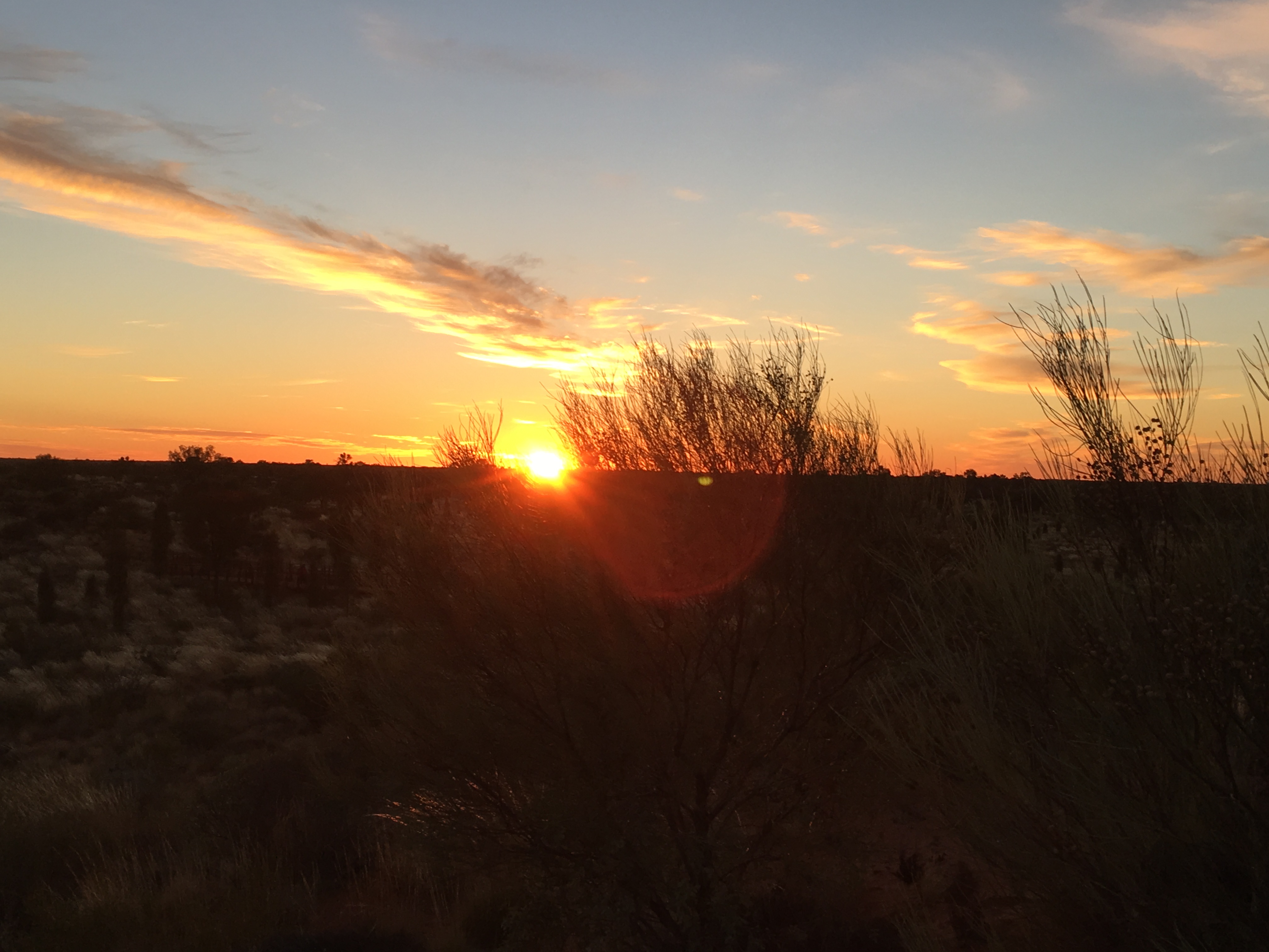 FA996980-7B1C-4A70-845A-20E42B00979A