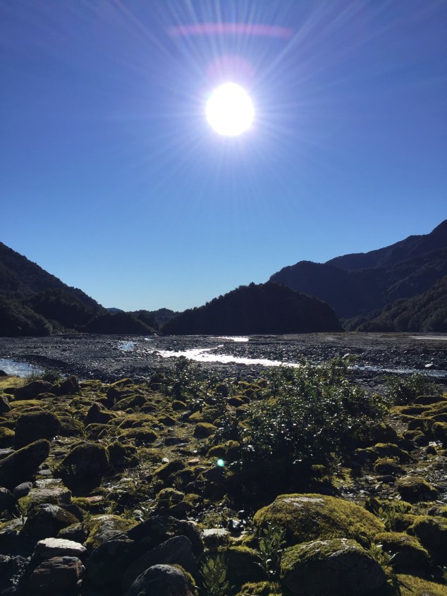 4C1BD356-5762-4471-84DF-7090A80AE613