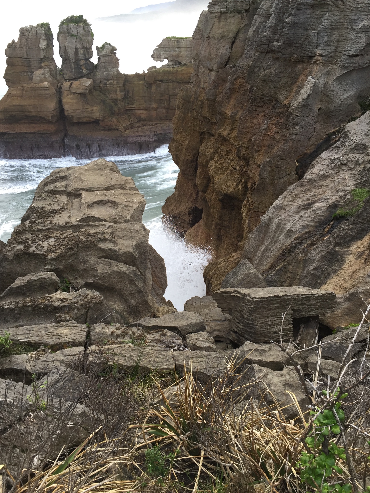 D4E8B07E-6F29-43D3-82FF-83F9767F2601