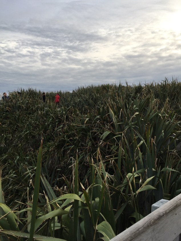 E3C62EEF-70DC-4924-9DE2-2E70EB327D29